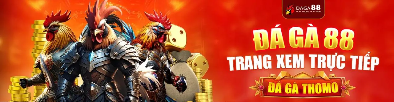 Sân đá gà trực tuyến sôi động tại daga789