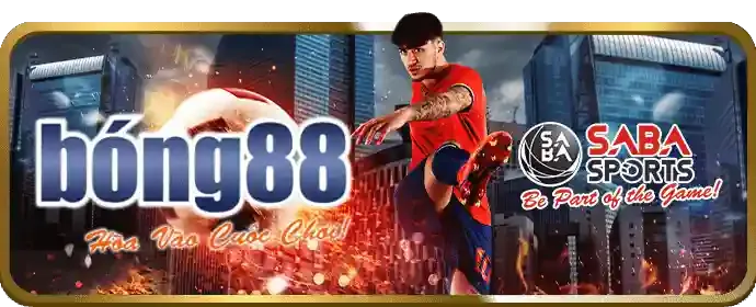 Các loại kèo đá gà phổ biến tại daga789